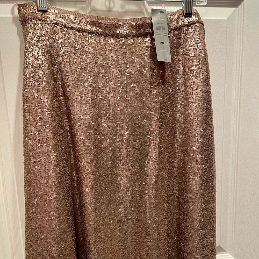 NWT Ann Taylor skirt embellished with sequins
